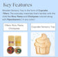 CupCake Concept Tray with Fillers